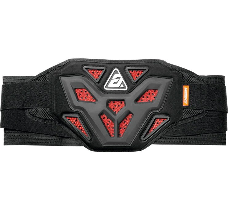 Answer Apex Kidney Belt