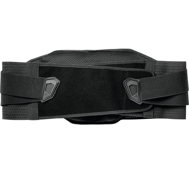Answer Apex Kidney Belt
