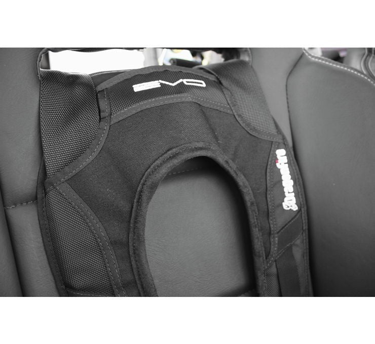 DragonFire Racing EVO UTV 4-Point Harness
