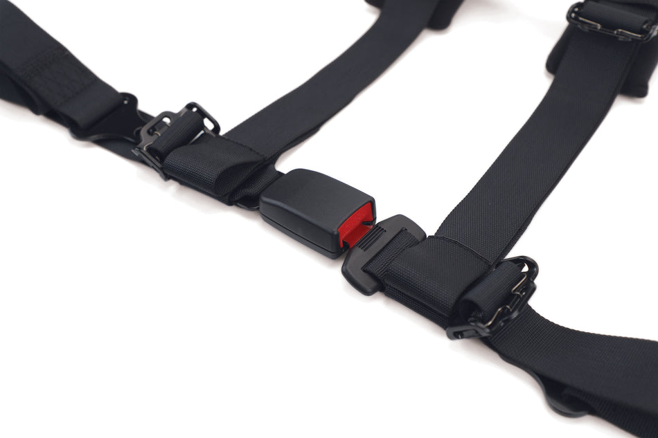 4-Point 2-Inch Auto Latch Harness